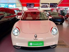 ORA Good Cat Morandi Edition 400km Standard Range Luxury Trim LFP - ფოტო 2
