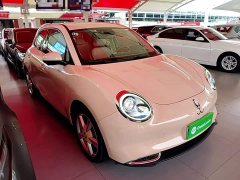 ORA Good Cat Morandi Edition 400km Standard Range Luxury Trim LFP - ფოტო 3