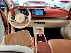 ORA Good Cat Morandi Edition 400km Standard Range Luxury Trim LFP - ფოტო 9