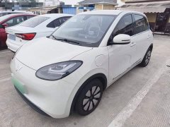 Wuling Binguo 333km Joy Edition - ფოტო 1