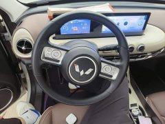 Wuling Binguo 333km Joy Edition - ფოტო 10