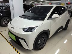BYD Seagull 405km Flying Edition - ფოტო 1