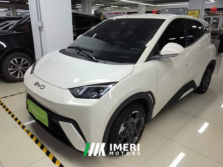 BYD Seagull 405km Flying Edition