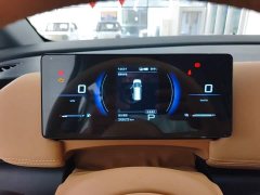 Wuling Starlight 730 New Energy PHEV 125km Luxury - ფოტო 11