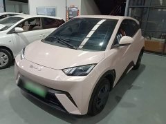 BYD Seagull 2023 Vitality Edition - ფოტო 1