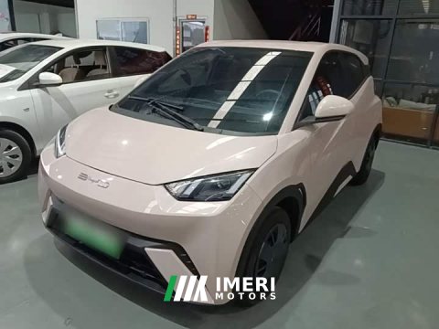 2024 BYD Seagull 2023 Vitality Edition - ავტომობილი ჩინეთიდან
