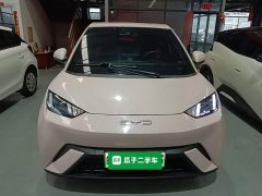 BYD Seagull 2023 Vitality Edition - ფოტო 2
