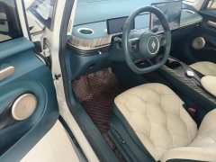 Baojun Yunduo 460 Max - ფოტო 15