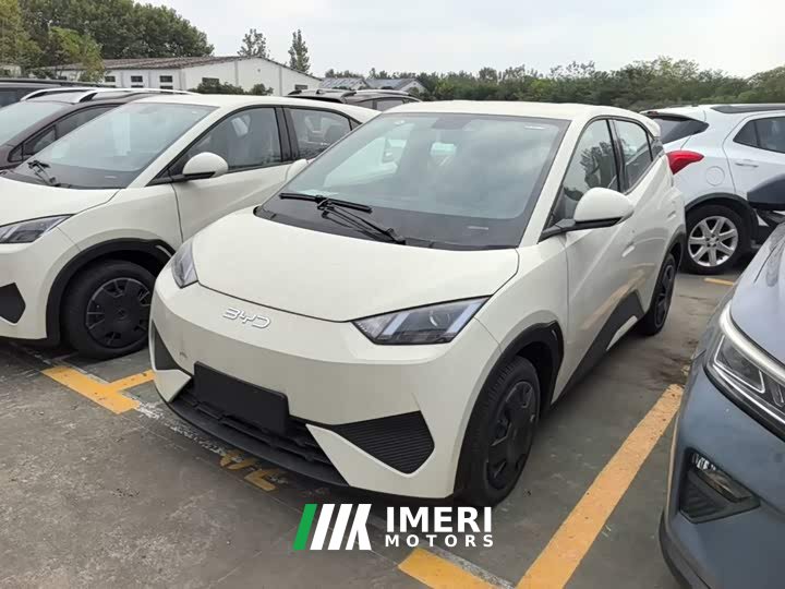 BYD Seagull 2025 Smart Drive 305km Vitality Edition - ავტომობილი ჩინეთიდან