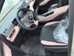 BYD Seagull 2025 Smart Drive 305km Vitality Edition - ფოტო 14