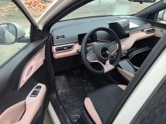 BYD Seagull 2025 Smart Drive 305km Vitality Edition - ფოტო 15