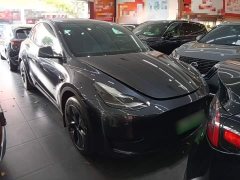 Tesla Model Y Rear-Wheel Drive - ფოტო 3