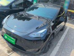 Tesla Model Y Rear-Wheel Drive - ფოტო 1