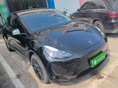 Tesla Model Y Rear-Wheel Drive - ფოტო 3