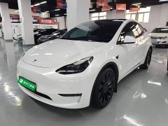 Tesla Model Y 2021 Performance All-Wheel Drive - ფოტო 1
