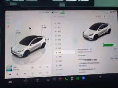 Tesla Model Y 2021 Performance All-Wheel Drive - ფოტო 11