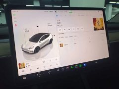Tesla Model Y 2021 Performance All-Wheel Drive - ფოტო 12