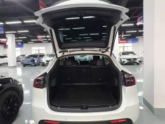 Tesla Model Y 2021 Performance All-Wheel Drive - ფოტო 18