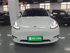 Tesla Model Y 2021 Performance All-Wheel Drive - ფოტო 2
