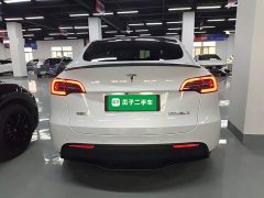Tesla Model Y 2021 Performance All-Wheel Drive - ფოტო 5