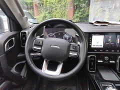 Great Wall Dachshund 1.5T DCT Two-Wheel Drive Border Collie-Wangcai Edition - ფოტო 2