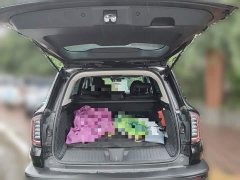 Great Wall Dachshund 1.5T DCT Two-Wheel Drive Border Collie-Wangcai Edition - ფოტო 9