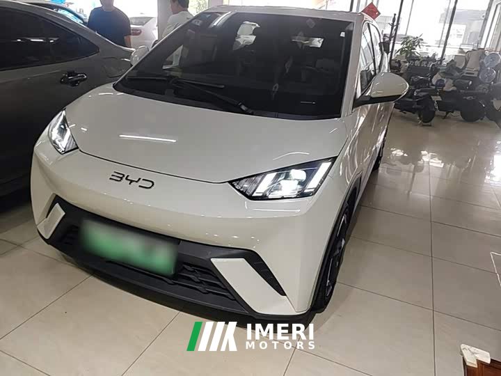 BYD Seagull Glory Edition 305km Freedom Version - ავტომობილი ჩინეთიდან