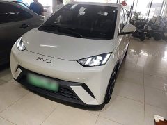 BYD Seagull Glory Edition 305km Freedom Version - ფოტო 1