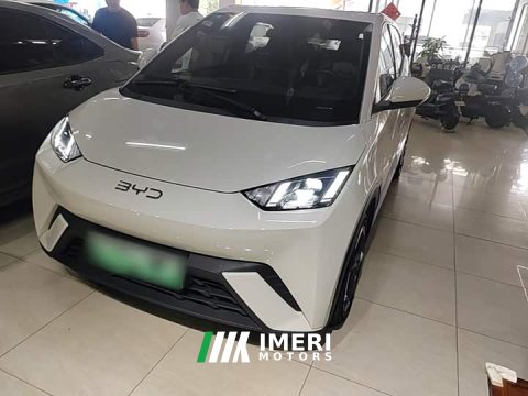 2024 BYD Seagull Glory Edition 305km Freedom Version - ავტომობილი ჩინეთიდან