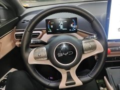 BYD Seagull Glory Edition 305km Freedom Version - ფოტო 10