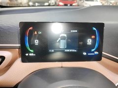 BYD Seagull Glory Edition 305km Freedom Version - ფოტო 11