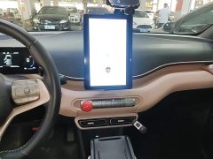 BYD Seagull Glory Edition 305km Freedom Version - ფოტო 12