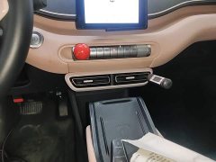 BYD Seagull Glory Edition 305km Freedom Version - ფოტო 13