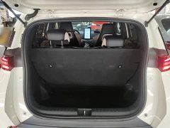 BYD Seagull Glory Edition 305km Freedom Version - ფოტო 18