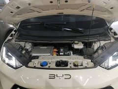 BYD Seagull Glory Edition 305km Freedom Version - ფოტო 19