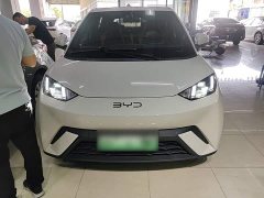 BYD Seagull Glory Edition 305km Freedom Version - ფოტო 2