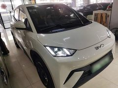 BYD Seagull Glory Edition 305km Freedom Version - ფოტო 3