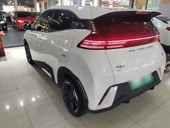 BYD Seagull Glory Edition 305km Freedom Version - ფოტო 4