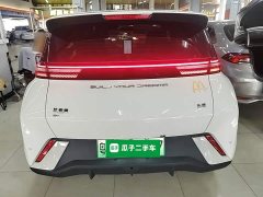 BYD Seagull Glory Edition 305km Freedom Version - ფოტო 5