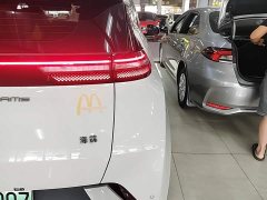 BYD Seagull Glory Edition 305km Freedom Version - ფოტო 7