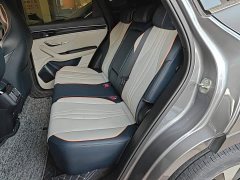 BYD Song Plus New Energy 2021 DM-i 51KM Premium Edition - ფოტო 16