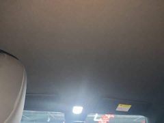 Baojun Yueye Plus 2026 301km Flagship Edition - ფოტო 17