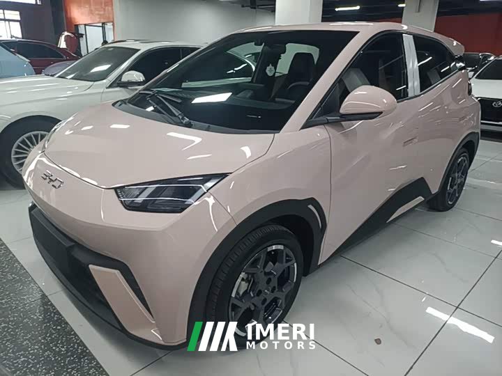 BYD Seagull 305km Freedom Edition - ავტომობილი ჩინეთიდან