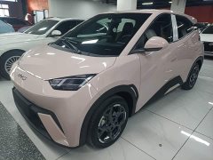 BYD Seagull 305km Freedom Edition - ფოტო 1
