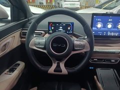 BYD Seagull 305km Freedom Edition - ფოტო 10