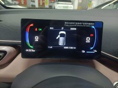 BYD Seagull 305km Freedom Edition - ფოტო 11