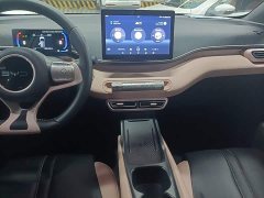 BYD Seagull 305km Freedom Edition - ფოტო 12