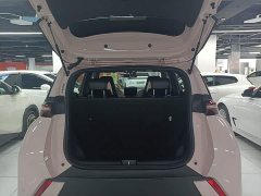BYD Seagull 305km Freedom Edition - ფოტო 18