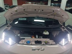 BYD Seagull 305km Freedom Edition - ფოტო 19