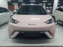 BYD Seagull 305km Freedom Edition - ფოტო 2